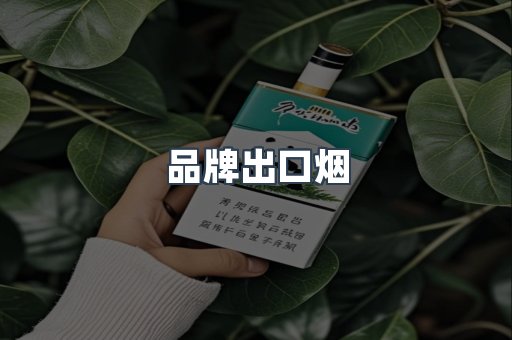 品牌出口烟